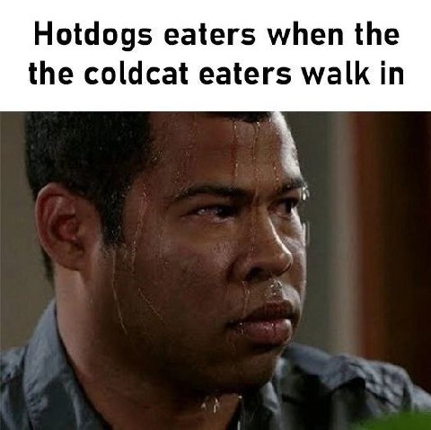 Hotdogs eaters when the the coldcat eaters walk in