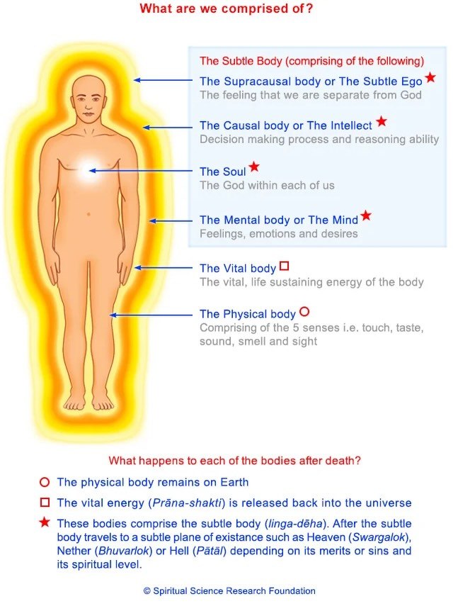 What are we comprised of? The Subtle Body (comprising of the following) The Supracausal body or The Subtle Ego The feeling that we are separate from God The Causal body or The Intellect Decision makin