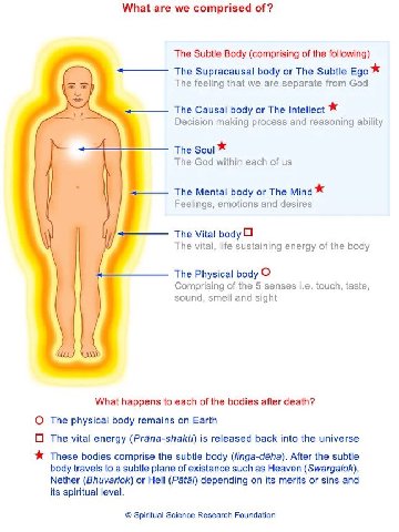 What are we comprised of? The Subtle Body (comprising of the following) The Supracausal body or The Subtle Ego The feeling that we are separate from God The Causal body or The Intellect Decision makin