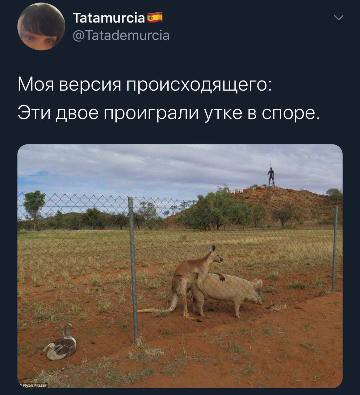 Tatamurcia @Tatademurcia Моя версия происходящего Эти двое проиграли утке в споре Ryan