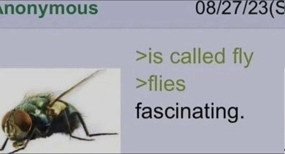 попутои$ 08/2 7/23($ >15 called fly fascinating.