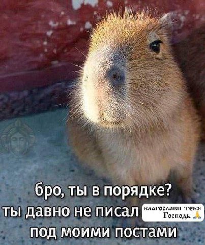 4 бро, ты в порядке? БААГОСЛАВН ТЕБЯ ты давно не писал Господь aka под моими постами