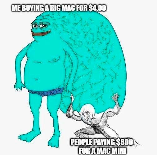 ME BUYING A BIG МАС FOR $4.99 PEOPLE PAYING $800\ FOR МАС MINI