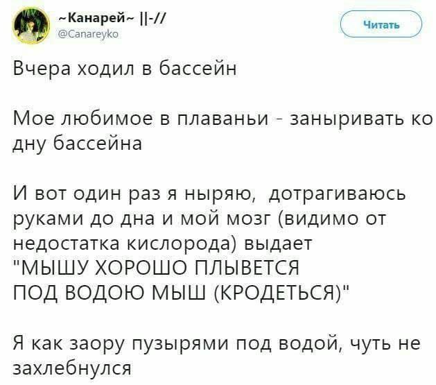 -Канарей- Читать @Canareyko Вчера ходил в бассейн Мое любимое в плаваньи заныривать дну бассейна И вот один раз я ныряю, дотрагиваюсь руками до дна и мой мозг (видимо от недостатка кислорода) выдает "