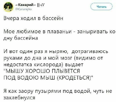 -Канарей- Читать @Canareyko Вчера ходил в бассейн Мое любимое в плаваньи заныривать дну бассейна И вот один раз я ныряю, дотрагиваюсь руками до дна и мой мозг (видимо от недостатка кислорода) выдает "