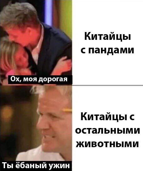 Китайцы с пандами моя дорогая Китайцы с остальными ЖИВОТНЫМИ Ты ёбаный ужин