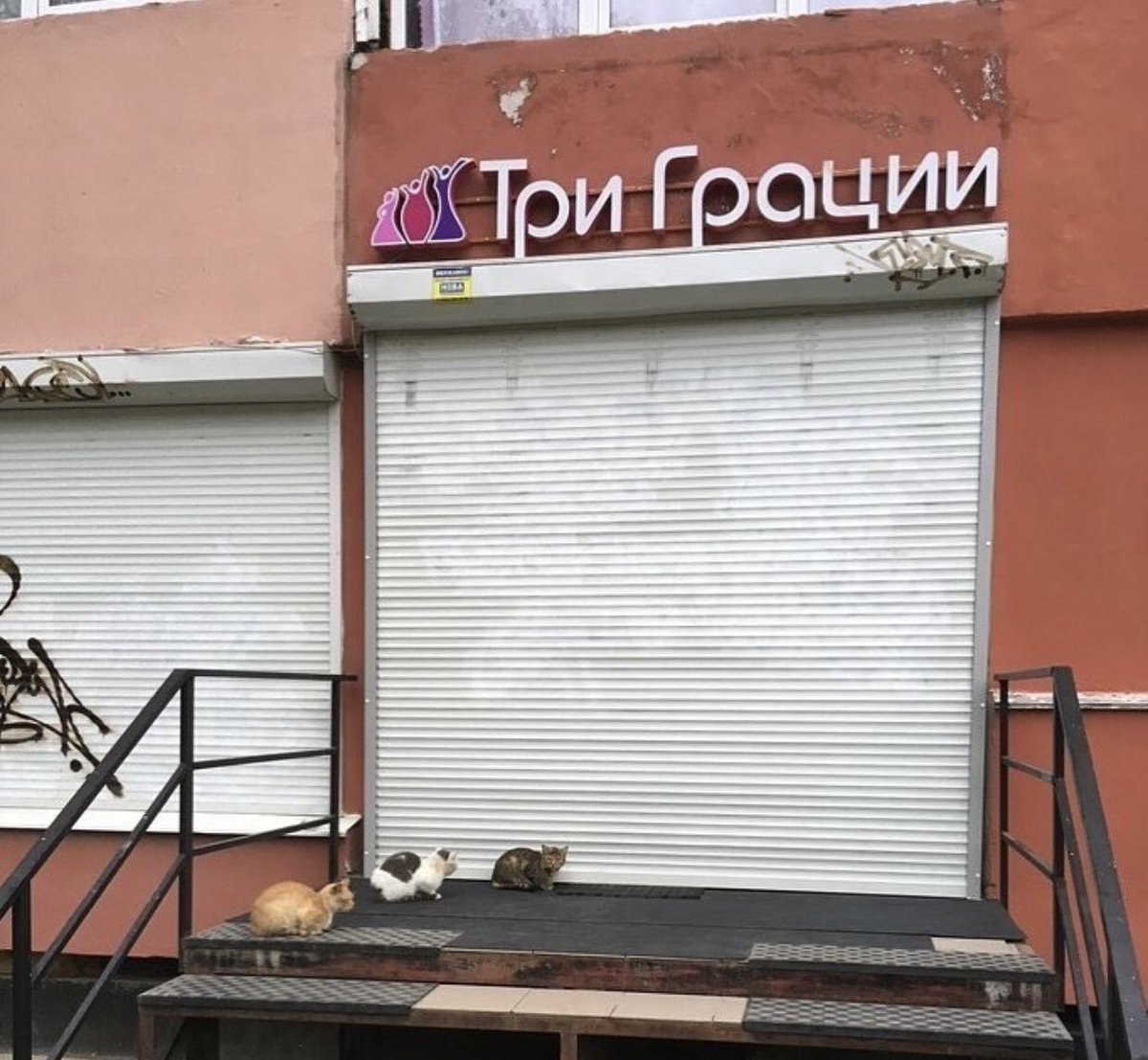 (alg Три. раци