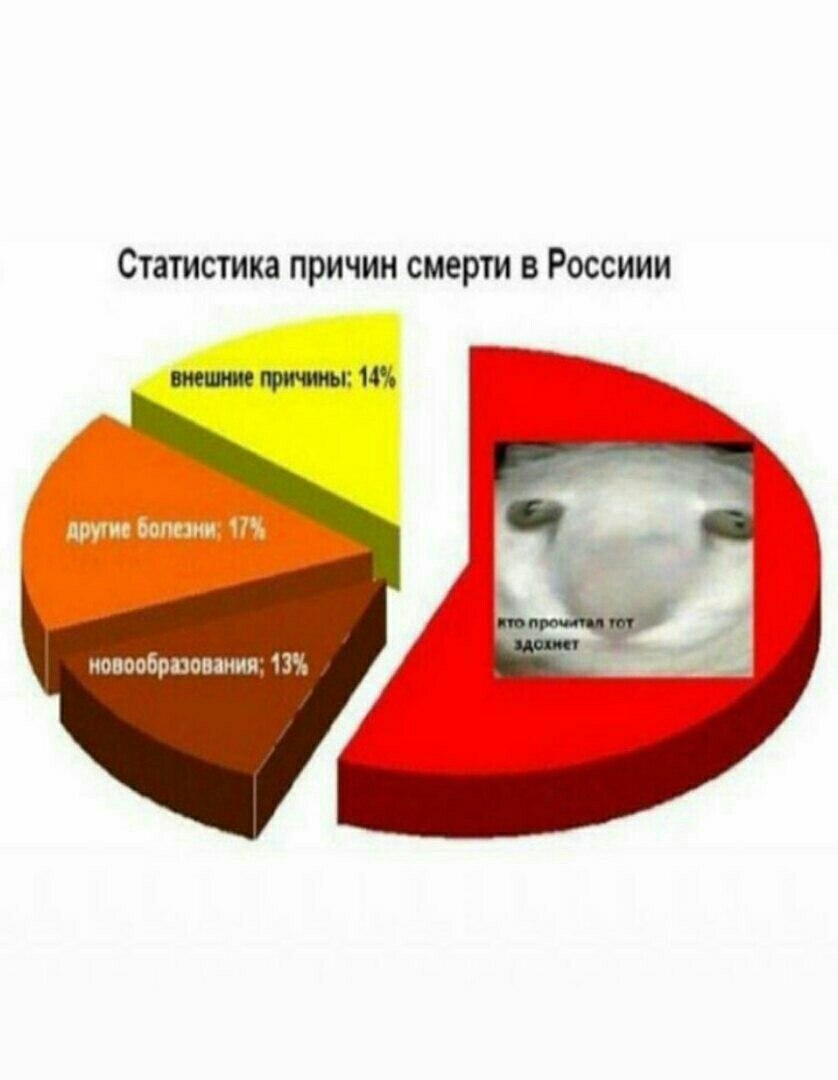 Статистика причин смерти в Россиии внешние причины: 14% другие болезни; 17% новообразования; 13%