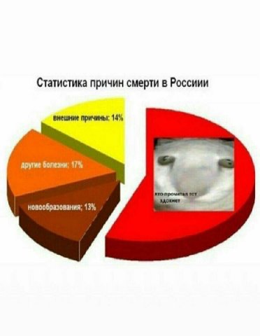 Статистика причин смерти в Россиии внешние причины: 14% другие болезни; 17% новообразования; 13%