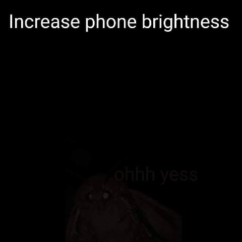 Increase phone brightness