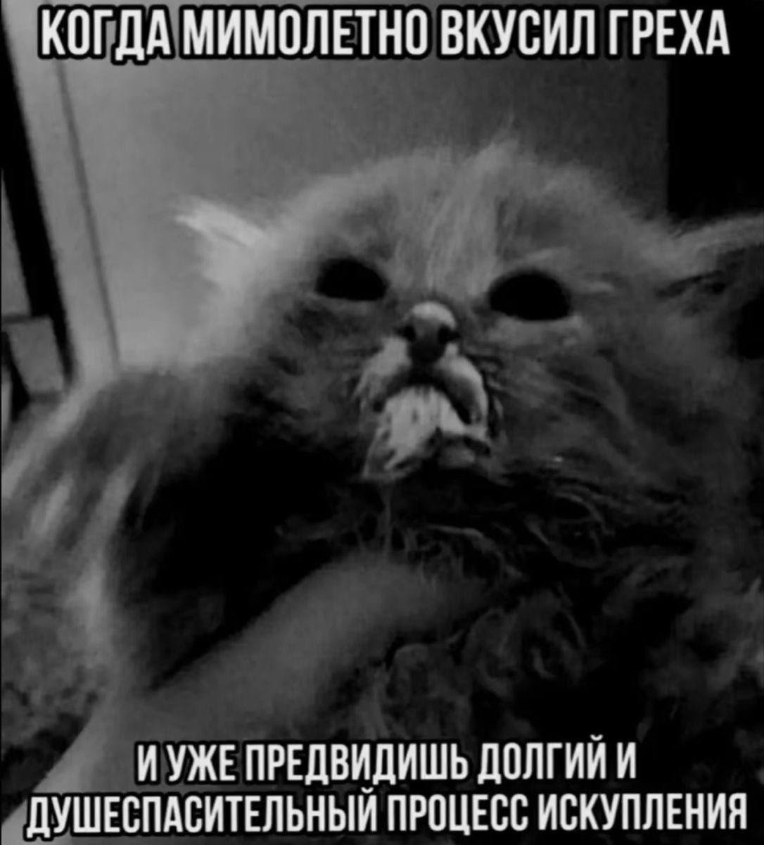 КОГДА МИМОЛЕТНО ВКУСИЛ ГРЕХА ИУЖЕ ПРЕДВИДИШЬ ДОЛГИЙ И ДУШЕСПАСИТЕЛЬНЫЙ ПРОЦЕСС ИСКУПЛЕНИЯ