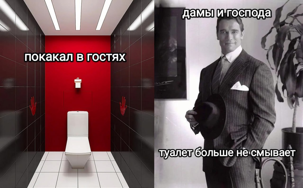 AT покакал в гостях 9 туалет больше не‘смывает