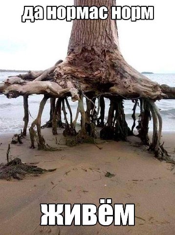 AN