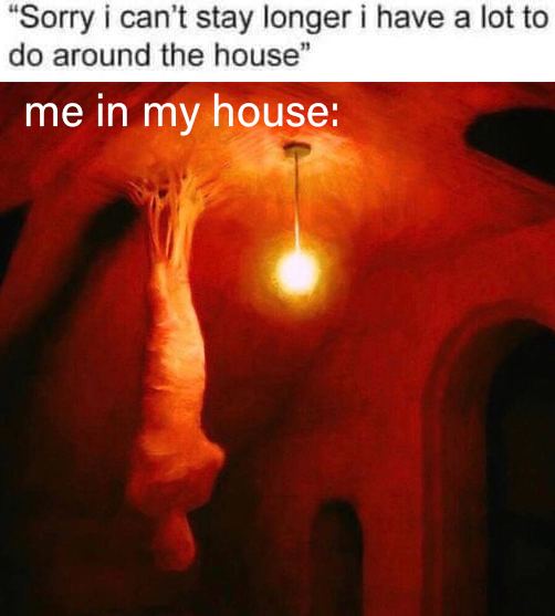 “Sorry i can’t stay longer i have a lot to around the house” me in my house: