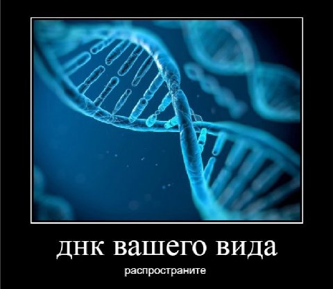днк вашего вида распространите