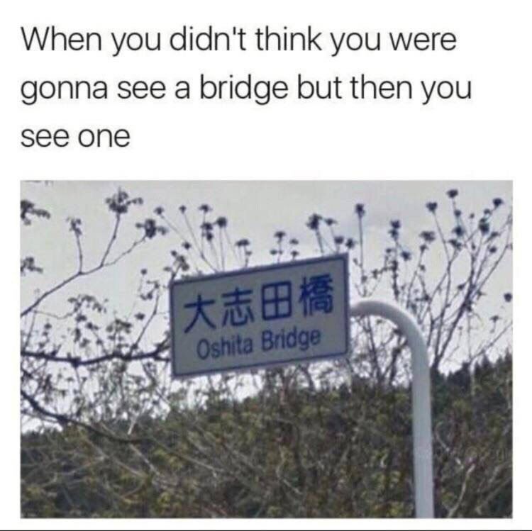 When you didn't think you were gonna see a bridge but then you see 1 у