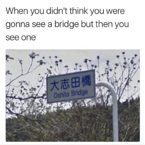 When you didn't think you were gonna see a bridge but then you see 1 у
