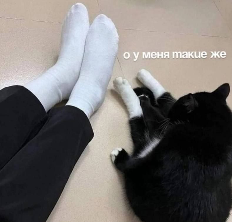 о уменя такие же