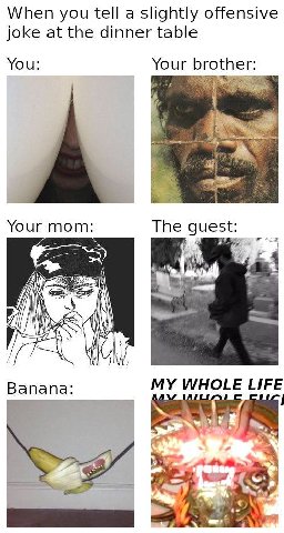 When you tell a slightly offensive joke at the dinner table You: Your brother: a Your mom: The guest: i Вапапа: WHOLE LIFE