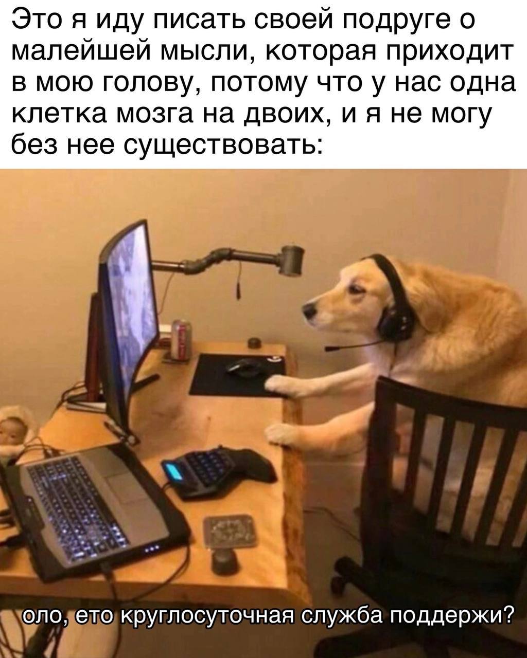 Это я иду писать своей подруге о малейшей мысли, которая приходит в мою голову, потому что у нас одна клетка мозга на двоих, и я не могу без нее существовать: оло, ето круглосуточная служба поддержи?