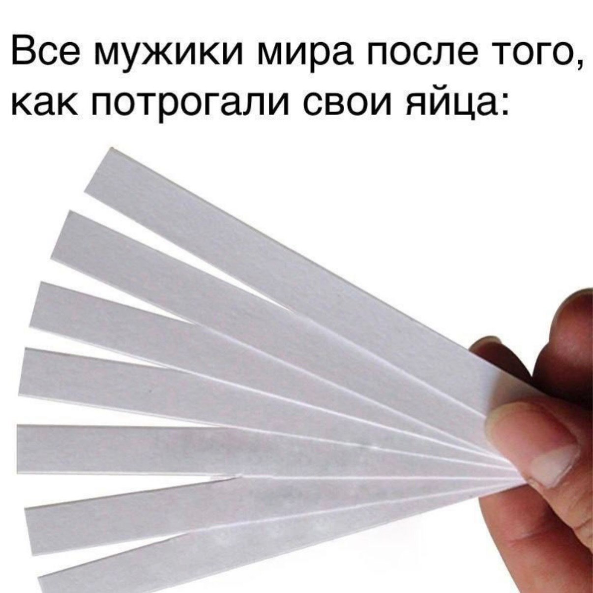 Все мужики мира после того, как потрогали свои яйца: