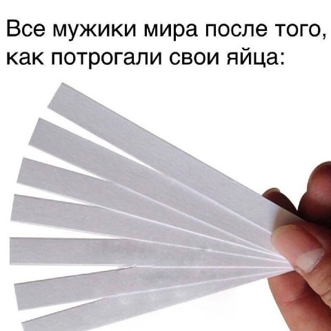 Все мужики мира после того, как потрогали свои яйца:
