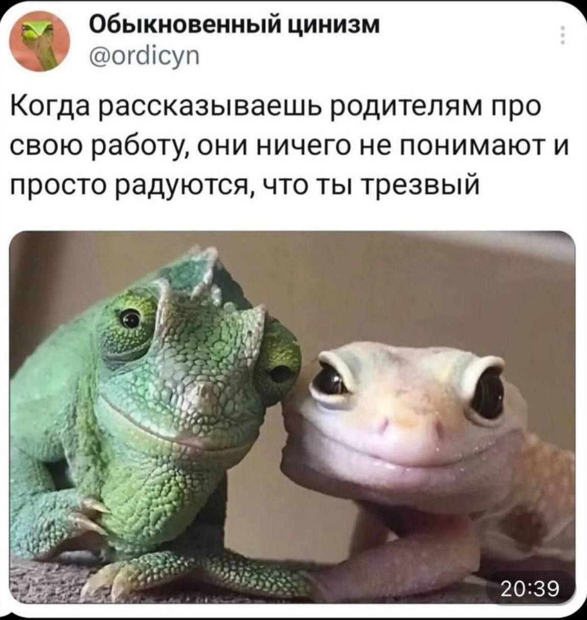 Обыкновенный цинизм @ordicyn Когда рассказываешь родителям про свою работу, они ничего не понимают и просто радуются, что ты трезвый £5, 20:39