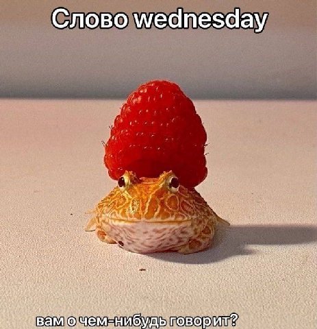 Слово wednesday a? i $5 2 Baty У 33 You ect be 44! i, “4 2. вам ни we удь говор: