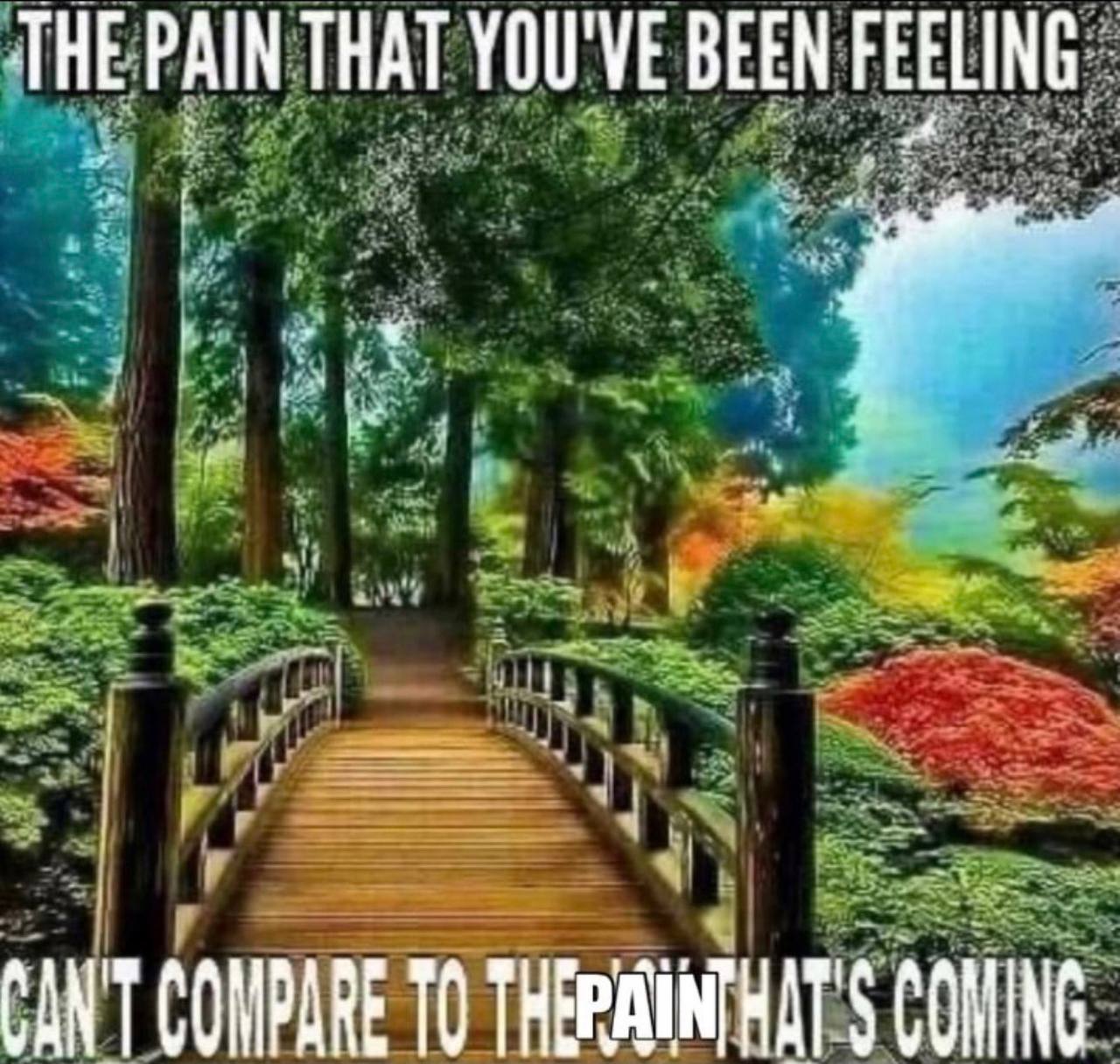 THE PAIN THAT YOU'VE BEEN FEELING ТО