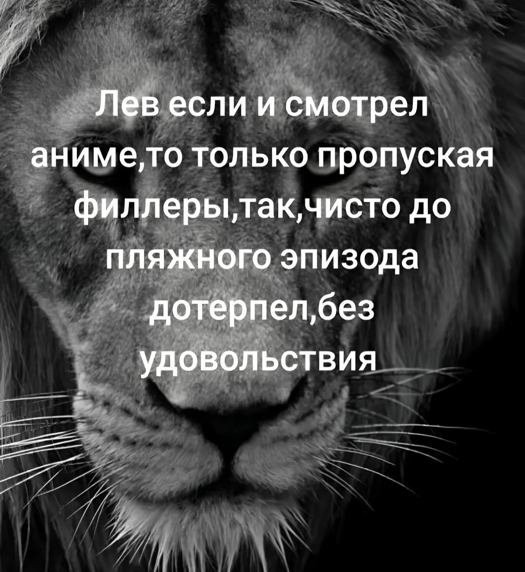 Лев если и смотрел только пропуская до пляжного эпизода дотерпел,без удовольствия