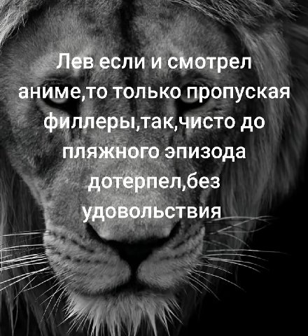Лев если и смотрел только пропуская до пляжного эпизода дотерпел,без удовольствия