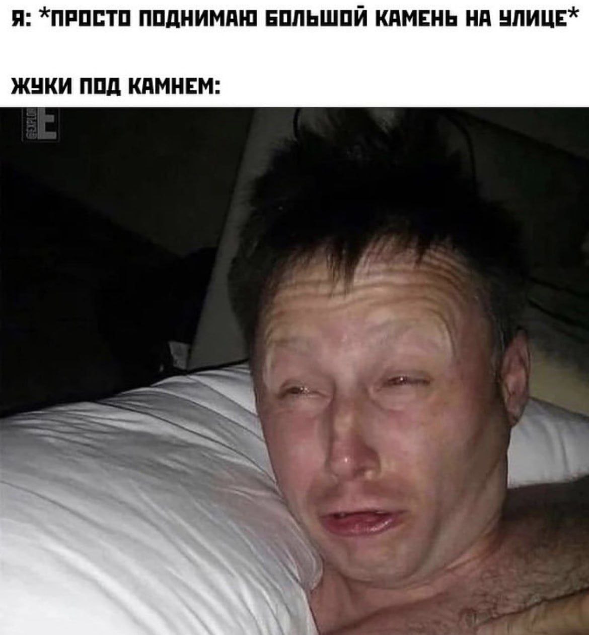 Я: *ПРОСТО ПОДНИМАЮ БОЛЬШОЙ КАМЕНЬ НА УЛИЦЕ* ЖУКИ ПОД КАМНЕМ: