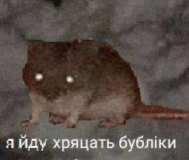 я Иду хряцать бублки