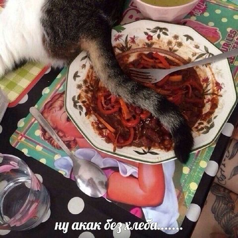 ну акак дез»