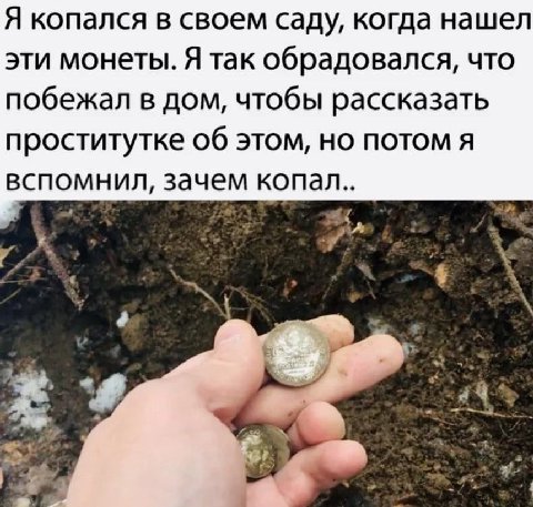 Я копался в своем саду, когда нашел эти монеты. Я так обрадовался, что побежал в дом, чтобы рассказать проститутке об этом, но потом я вспомнил, зачем копал.. 7 7
