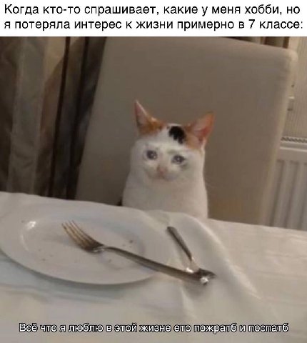 Когда кто-то спрашивает, какие у меня хобби, но я потеряла интерес к жизни примерно в 7 классе: Всё что я люблю в этой жизне ето пожратб и поспатб