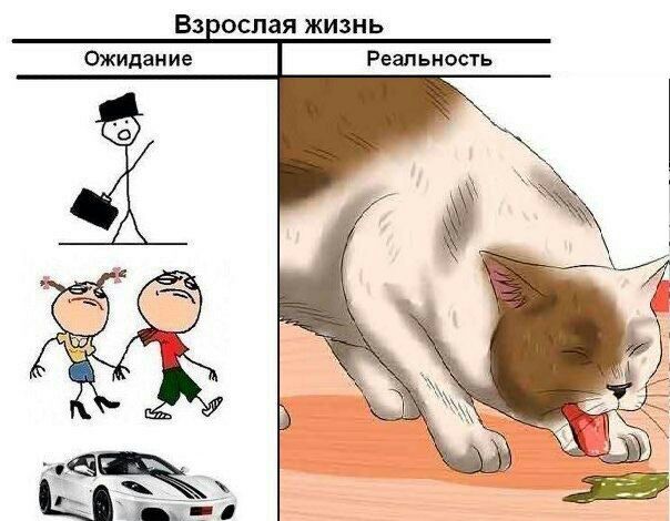 Взрослая жизнь Ожидание Реальность