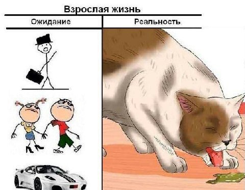 Взрослая жизнь Ожидание Реальность