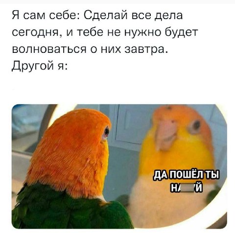 Я сам себе: Сделай все дела сегодня, и тебе не нужно будет волноваться о них завтра. Другой я: 'ДАПОШЁЛТЫ