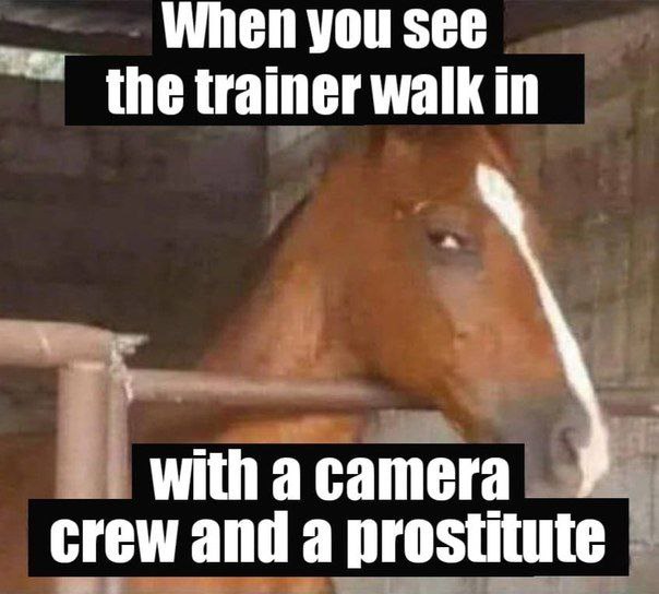 When you see the trainer walk in with a camera crew and a prostitute