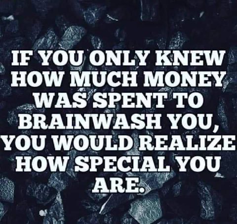 IF YOU ONLY KNEW HOW MUCH MONEY WAS SPENT TO BRAINWASH YOU, YOU WOULD REALIZE HOW SPECIAL YOU ARE a