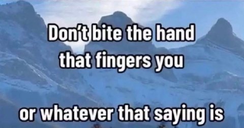 Donitibite the hand that fingers you or whatever that saying is
