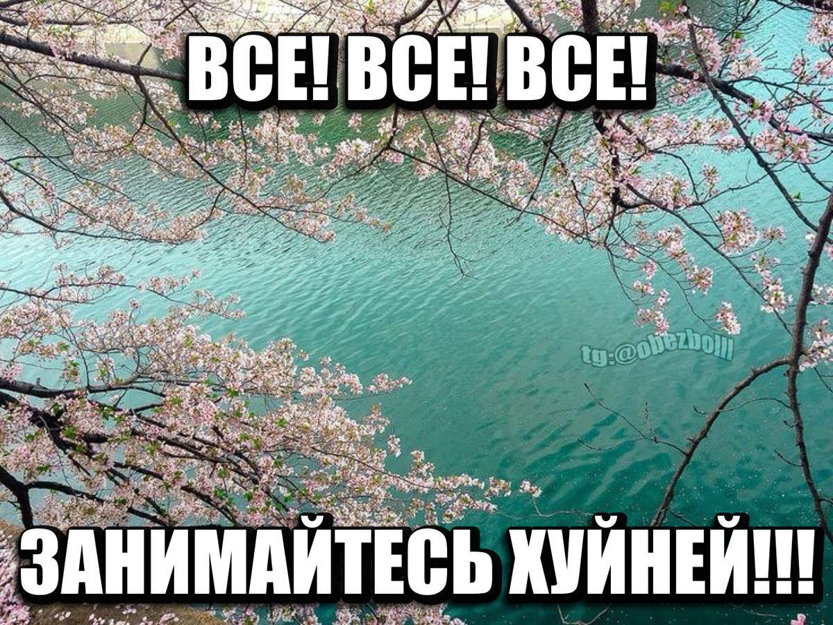 27.2 BCE! BCE! BCE! AS 2 0) ЗАНИМАЙТЕСЬ КУЙНЕЙ