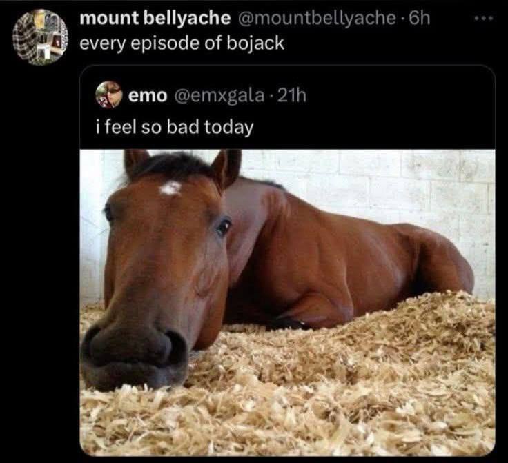 mount bellyache @mountbellyache every episode of bojack emo i feel so bad today