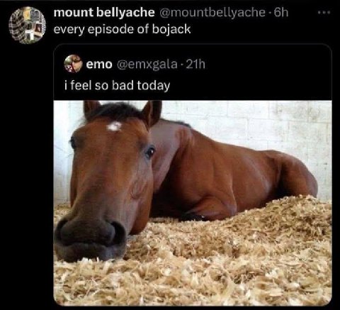 mount bellyache @mountbellyache every episode of bojack emo i feel so bad today