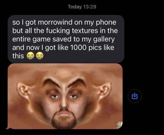 Тодау 13:29 so got morrowind on my phone but all the fucking textures in the entire game saved to my gallery and now got like 1000 pics like this