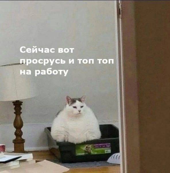 Сейчас вот просрусь и топ топ на работу