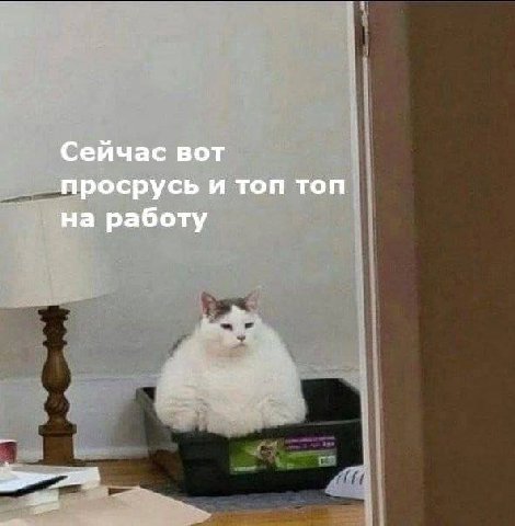 Сейчас вот просрусь и топ топ на работу