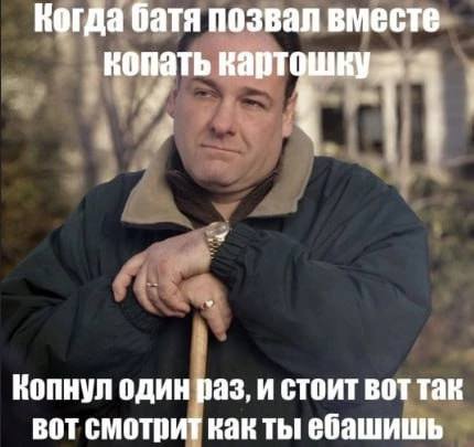 Когда батя позвал вместе копать картошку и 3 Копнул один раз, и стоит вот так вот смотрит как ты ебашишь