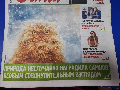 3 1 СЫН ПОЧТИ УБЕДИЛ HAC, ЧТО ТРОЙКА ВПОЛНЕ ПРИЛИЧНАЯ ОЦЕНКА РАБОТАЕТ ПРОВОДНИКОМ ПОЕЗДА. НАСС ЛЮБОВНИКОМ СОВОКУПИТЕЛЬНЫМ СОВОКУПИТЕЛЬНЫМ ВЗГЛЯД